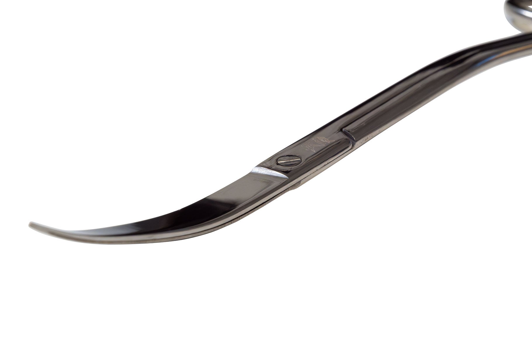 AquaOwner Wave Scissor Aquarienschere 25 cm gebogen