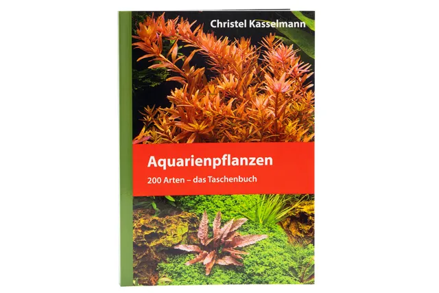 AquaOwner Nature Check Hoodie Bio-Baumwolle schwarz