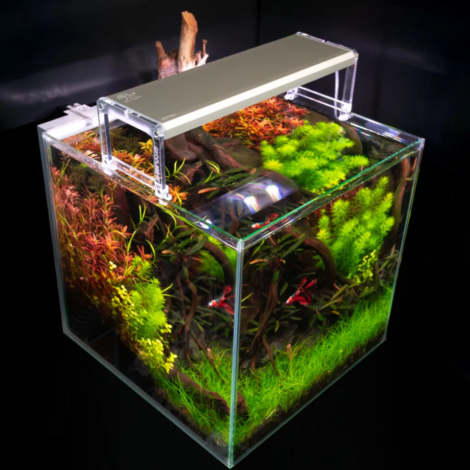 Skylight Entriq FL.60 Aquarienlampe 60 cm 100 lm/W