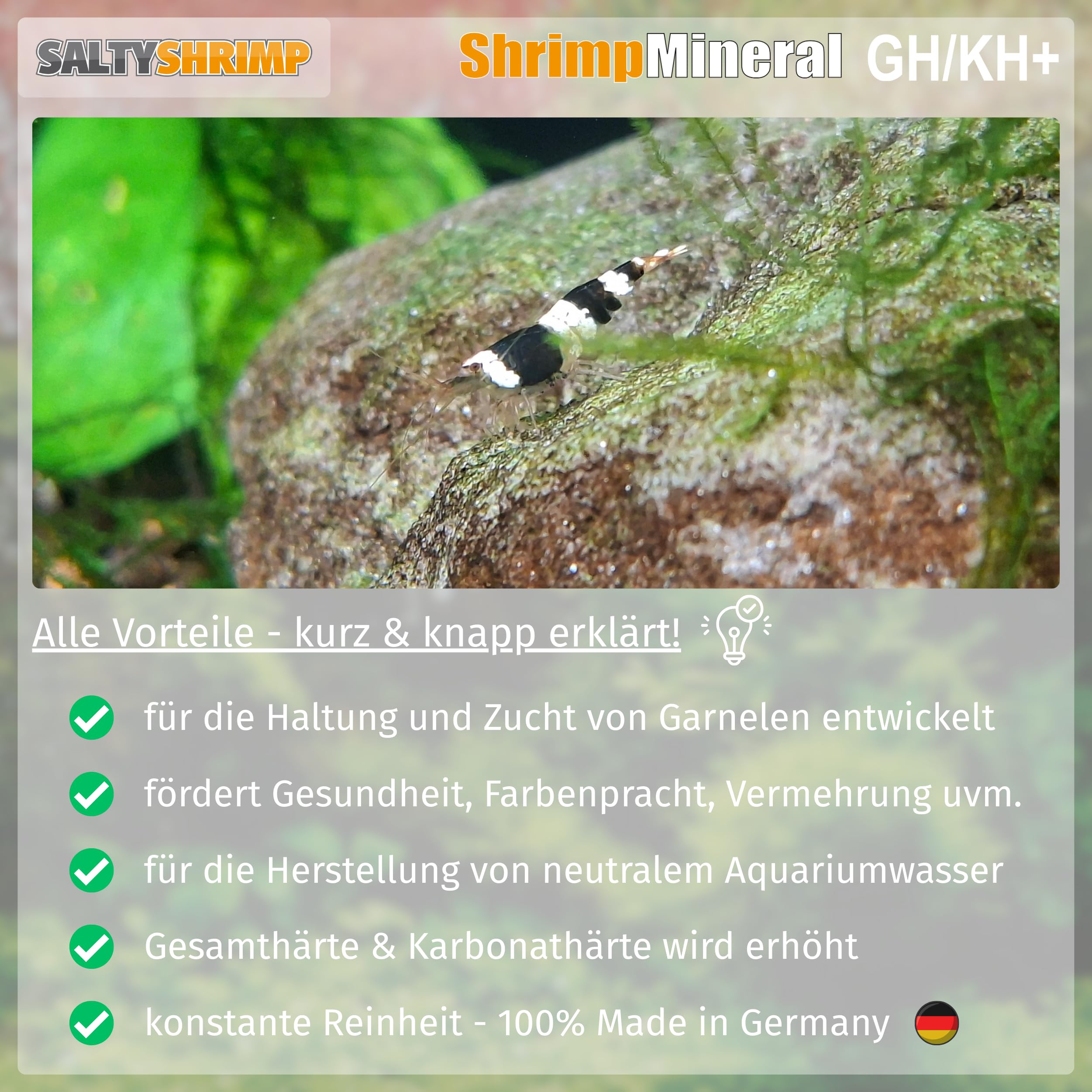 SaltyShrimp Shrimp Mineral GH/KH+ Mineralsalz 100 g neutrales Wasser