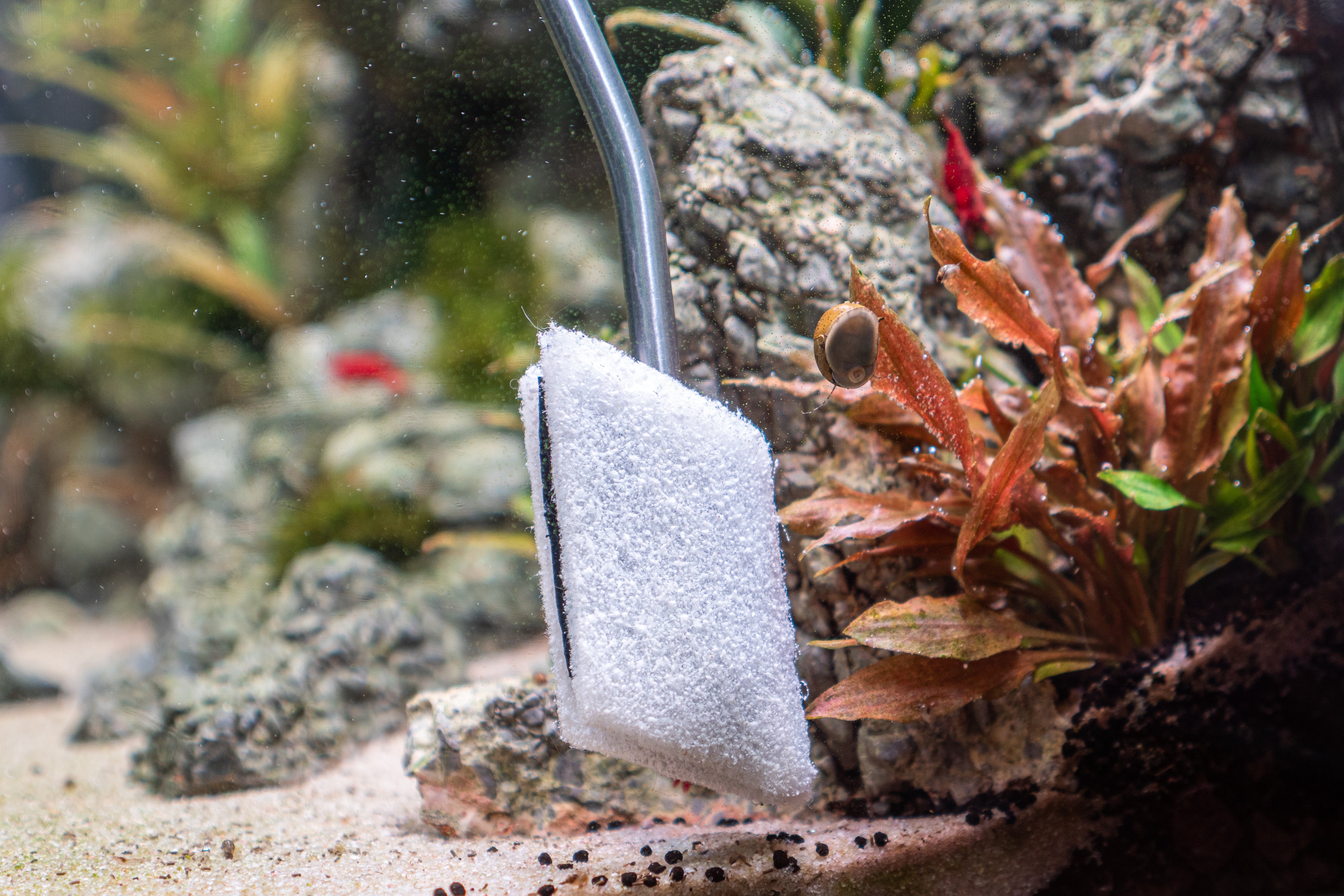 AquaOwner Nano Cleaner Nachfüllpack Pads 6 Stück