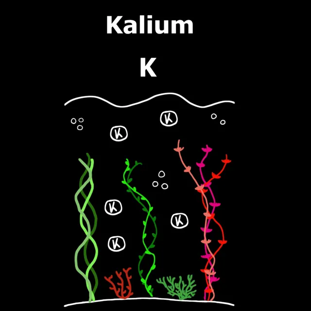 C&P Aquaplants Kalium Flüssigdünger 500 ml gezielt