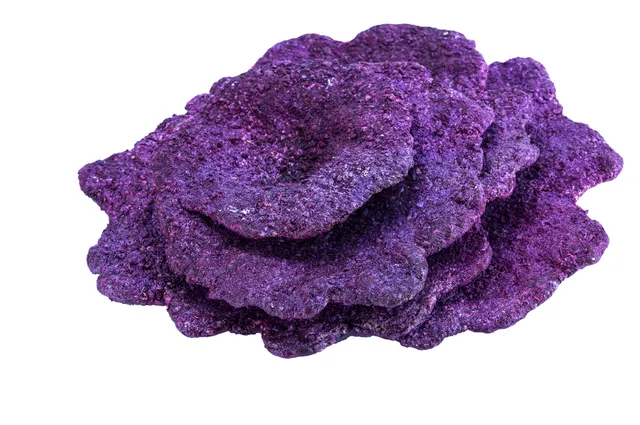 Real Reef Plate Corals Riffgestein 10 Stück S/M