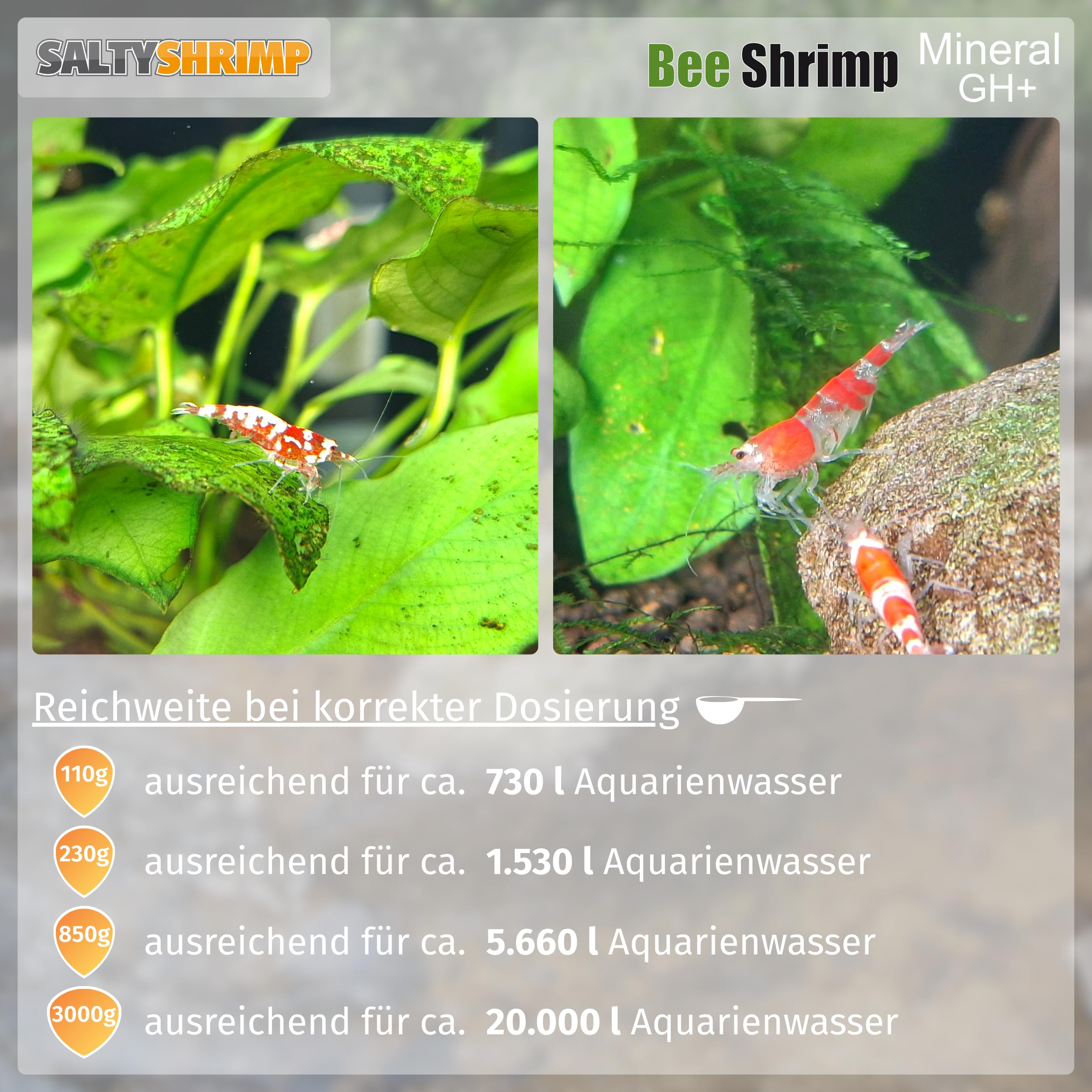 SaltyShrimp Bee Shrimp Mineral GH+ Mineralsalz 110 g Bienengarnelen