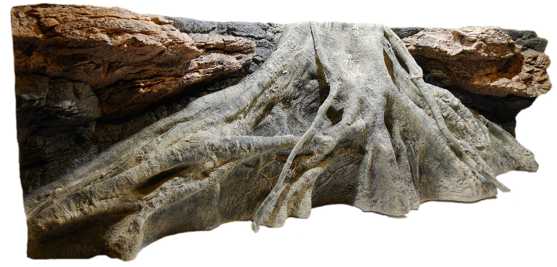ArStone Amazonas XL 3D Wurzel-Rückwand Regenwald