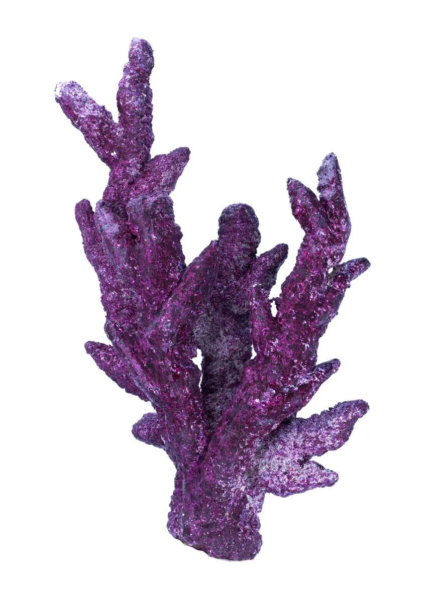 Real Reef Fancy Branch Rock Riffgestein Mix Box