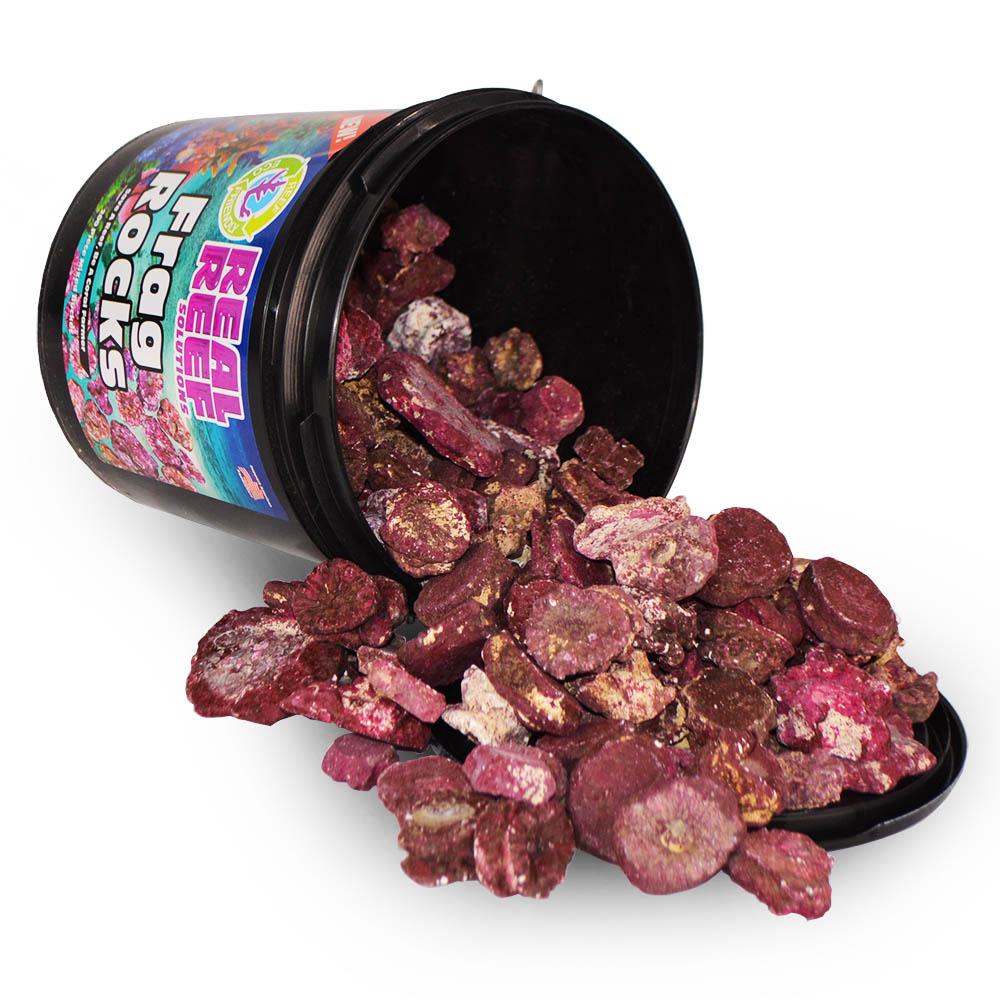 Real Reef Frag Rocks Ablegergestein Mix 400 Stk.