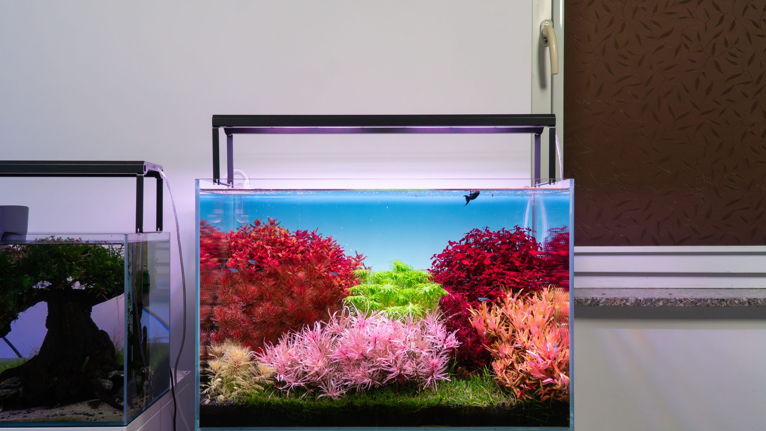 Skylight Hyperbar FS.30 Aquarienleuchte 30 cm natürlich