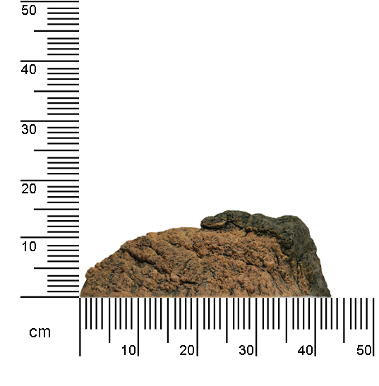 ArStone Rock A 50x36x15 3D Aquarium Modul Alpin-Optik