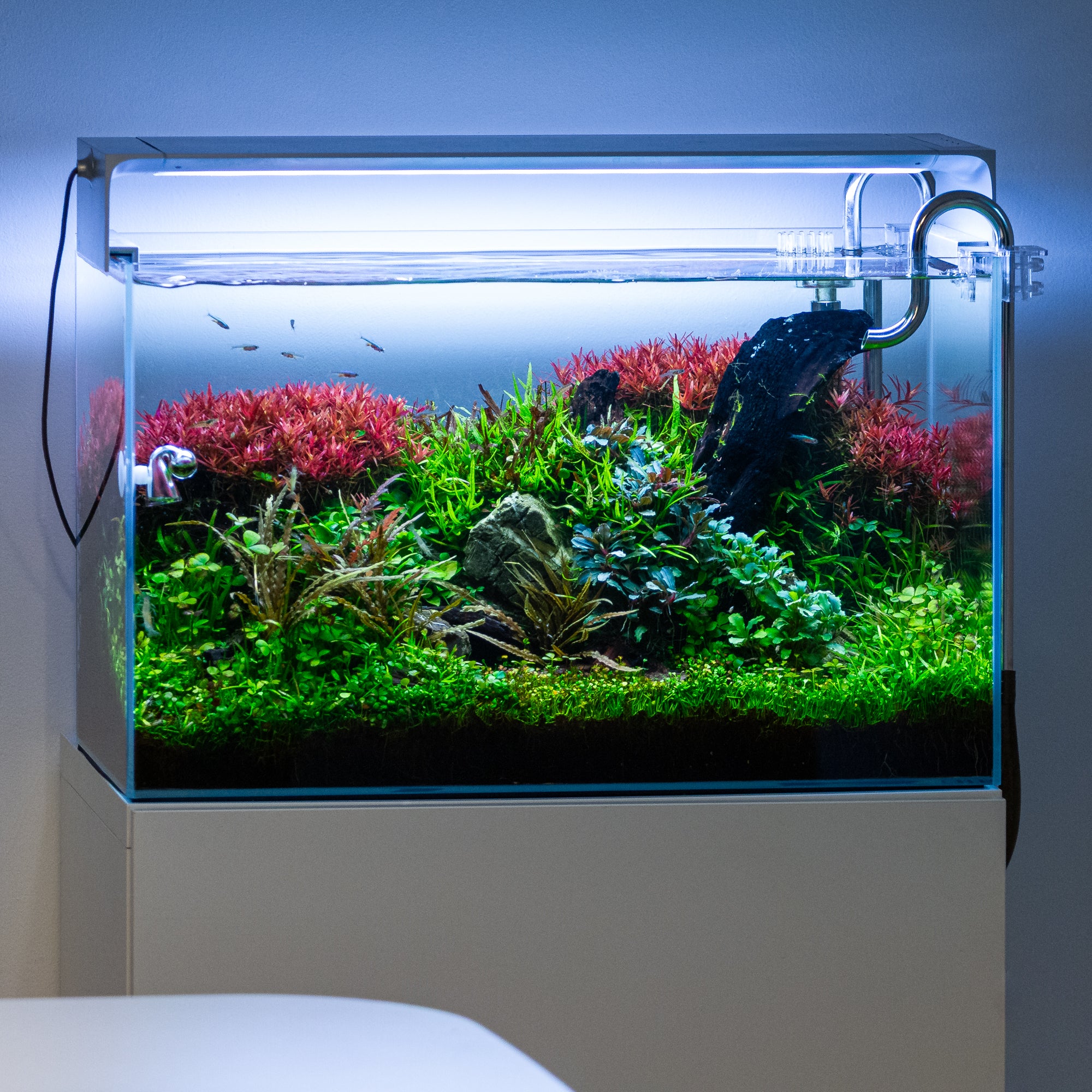 ONF THE FLAT ONE+ YW LED-Aufsatzleuchte 60 cm