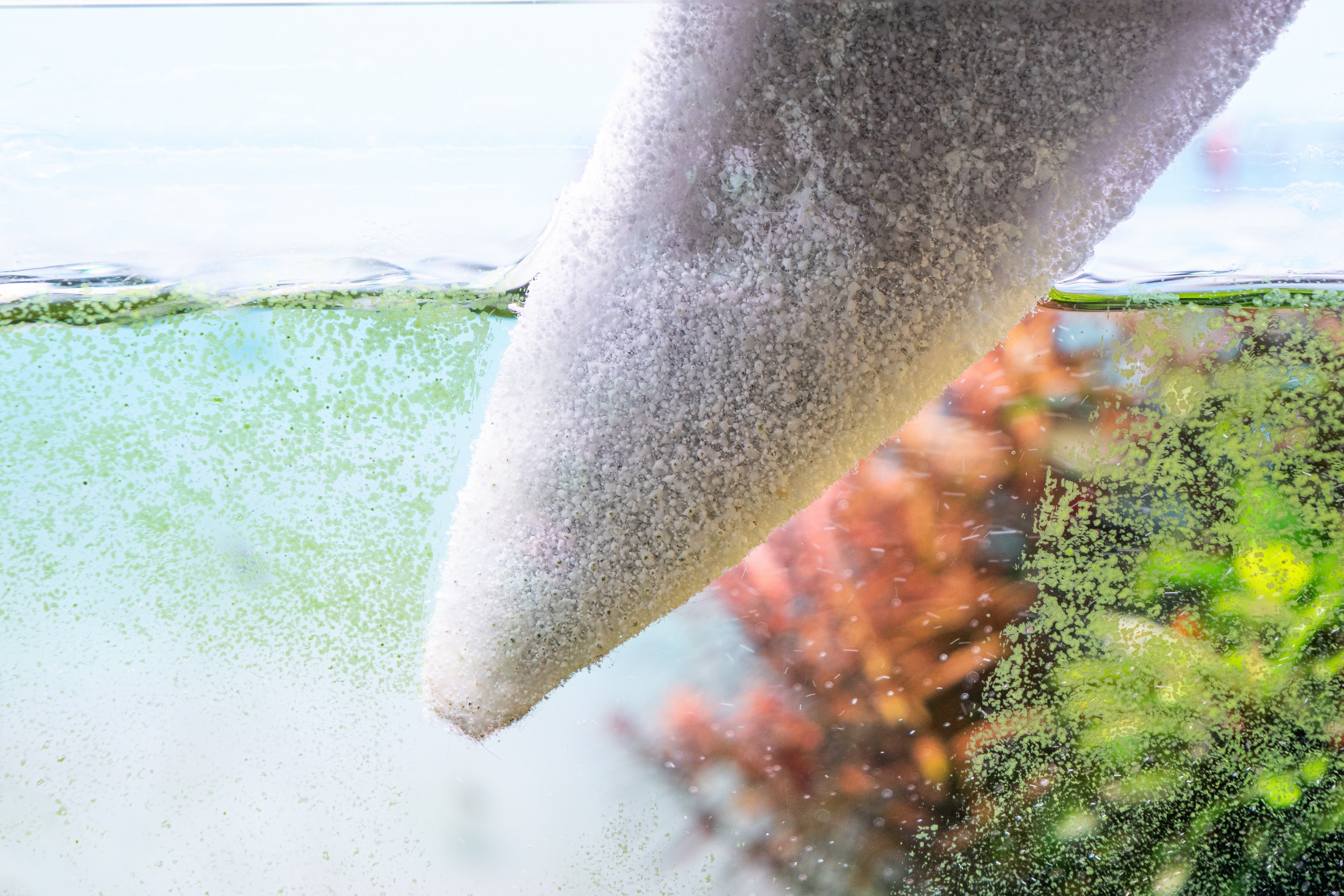 AquaOwner Makro Cleaner Scheibenreiniger große Aquarien