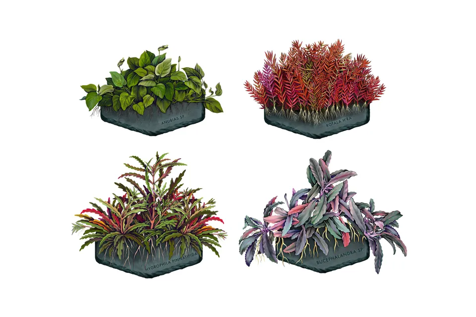 AquaOwner Plant Art Set Kunstdrucke 20x15 cm 4 Motive