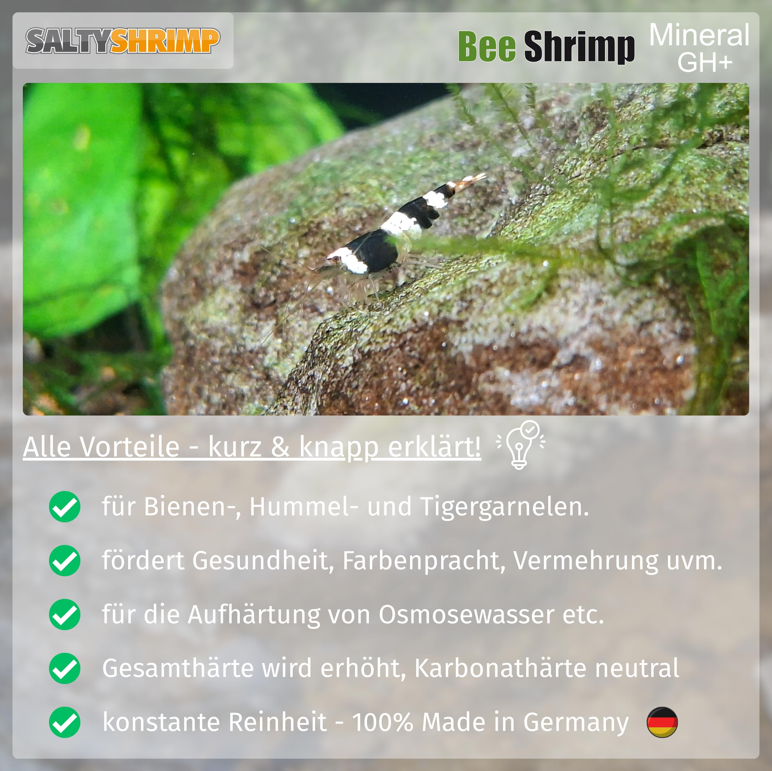 SaltyShrimp Bee Shrimp Mineral GH+ Mineralsalz 110 g Bienengarnelen