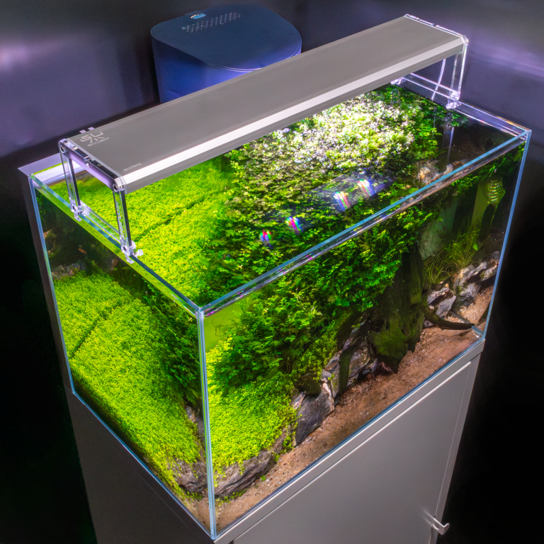 Skylight Entriq FL.60 Aquarienlampe 60 cm 100 lm/W