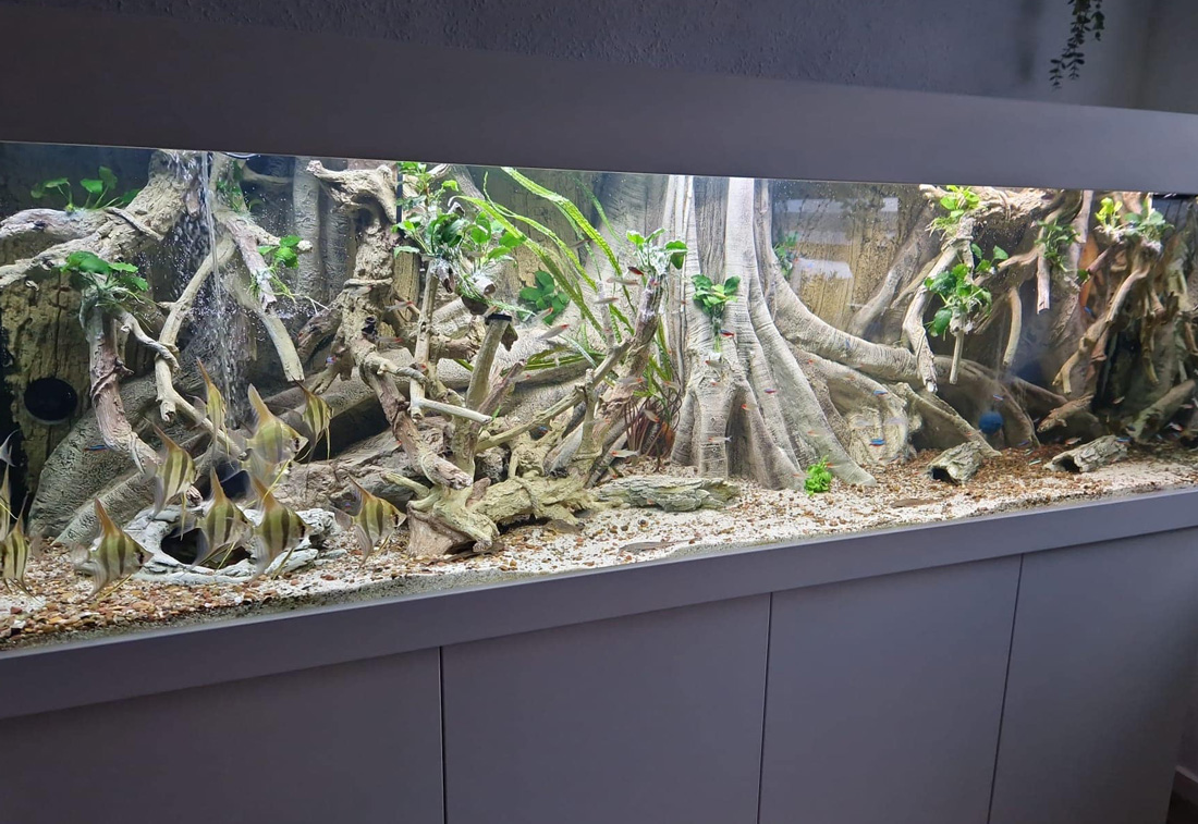 ArStone Rainforest Laona 3D Rückwand Wurzel wurzelgerecht