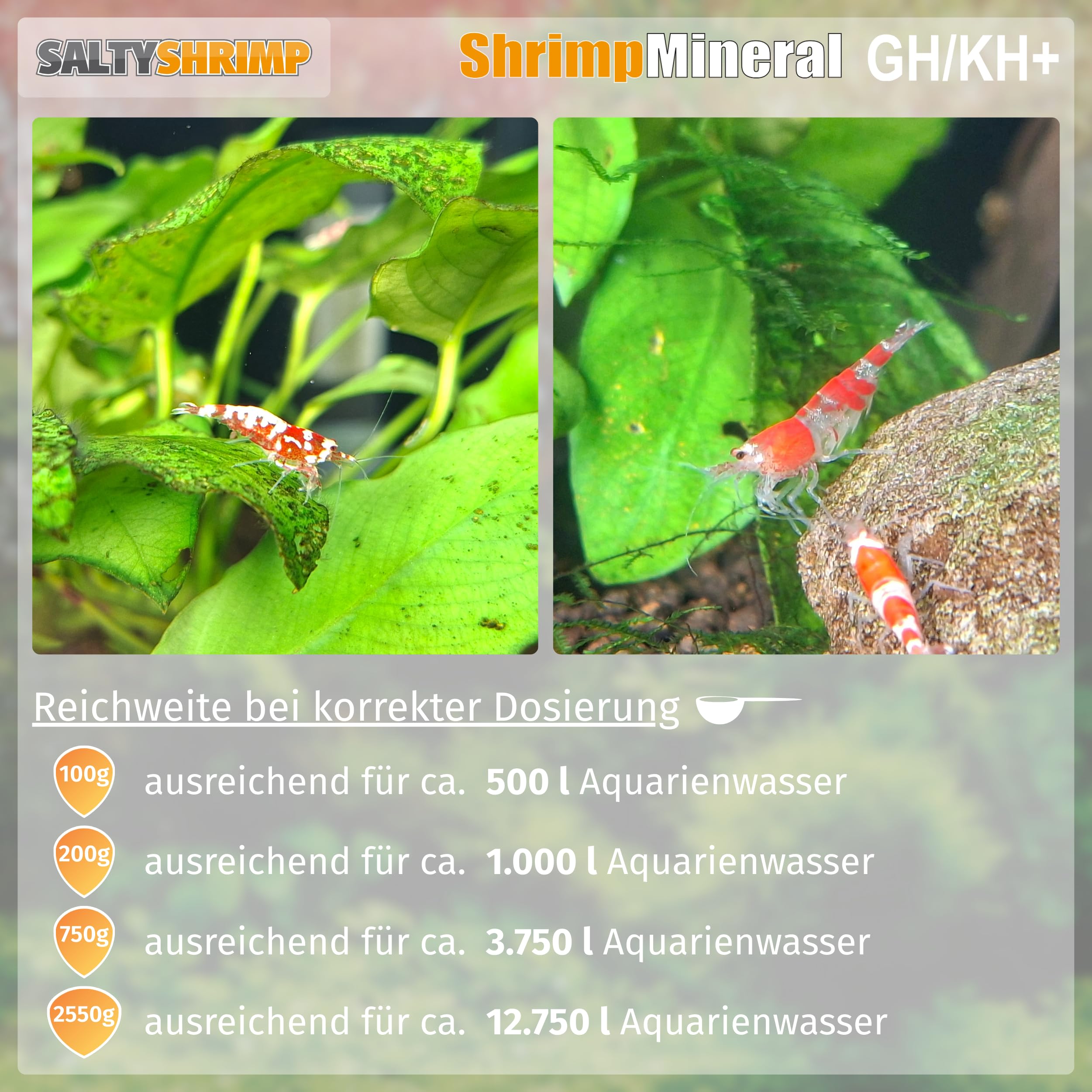 SaltyShrimp Shrimp Mineral GH/KH+ Mineralsalz 100 g neutrales Wasser
