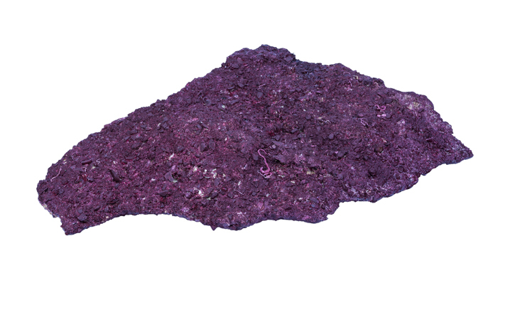 Real Reef Shelf Rock Riffgestein Box 20,5 kg Mix