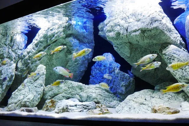 ArStone Malawi 3D Rückwand Set 160x60 cm 10 Module