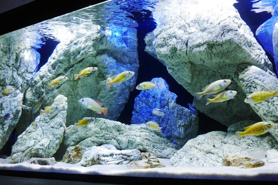 ArStone Malawi 3D Rückwand Set 160x60 cm 10 Module