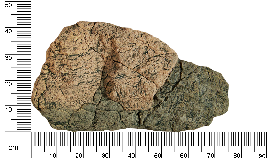 ArStone Rock L Aquariumfelsen 75x40x13 cm einzeln